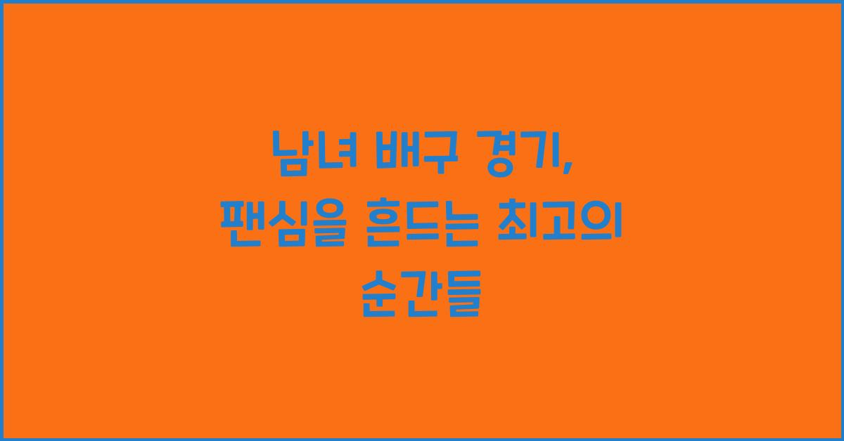남녀 배구 경기