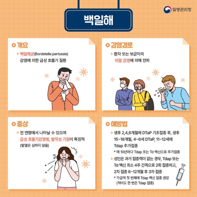 백일해 예방접종의 모든 것