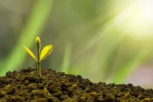 청년내일저축계좌 신청 방법 (+ 퇴사 / 알바 경우)