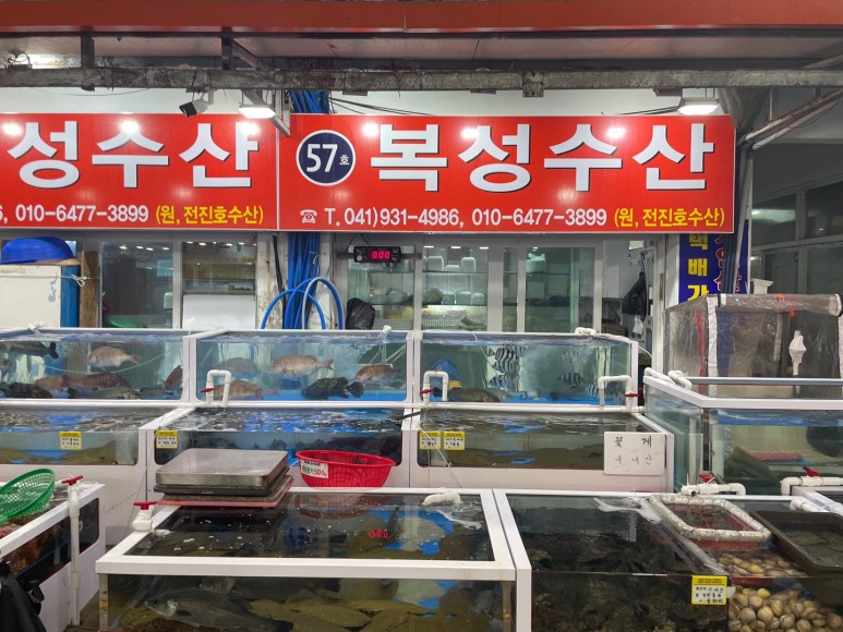 대천항수산 이미지