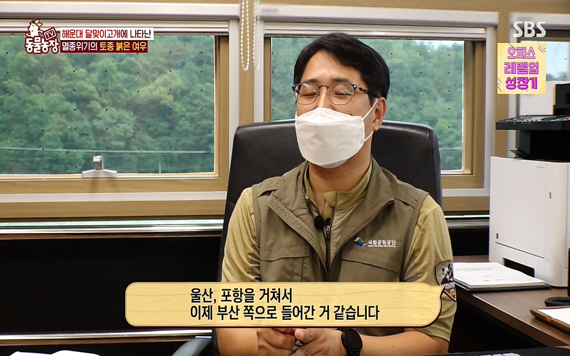 TV 동물농장.E1079.220725p-NEXT.mp4_20220724_151955.619.jpg
