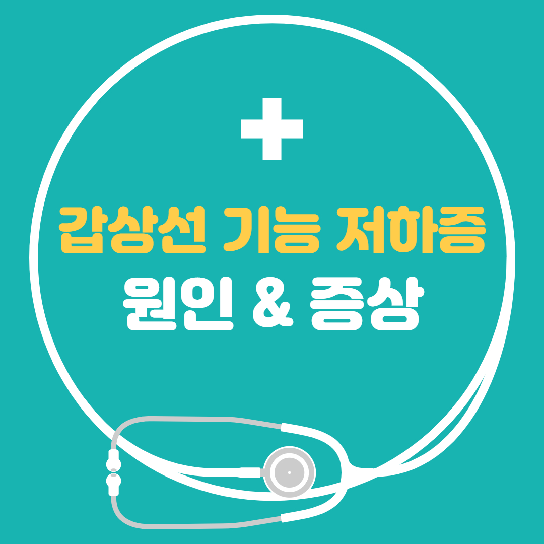  갑상선 기능 저하증 증상 원인 좋은음식 나쁜음식 간단정리