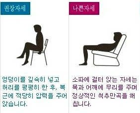 바른자세교정원 이미지