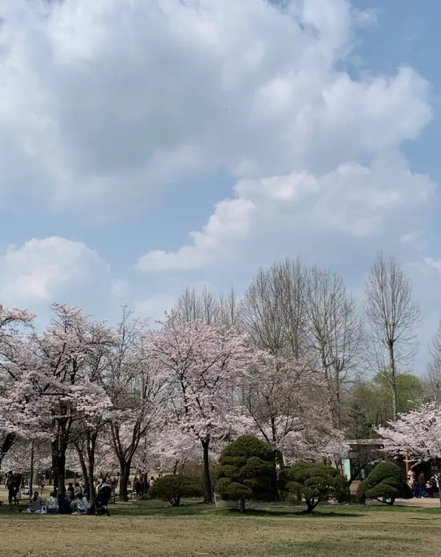 서울어린이대공원