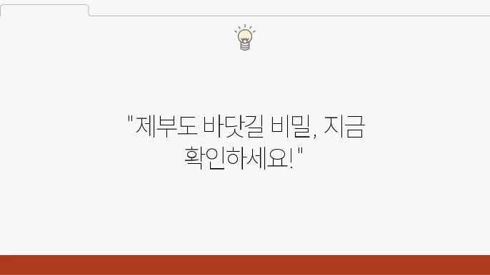 제부도 물때시사 바닷길 통행시사 2024