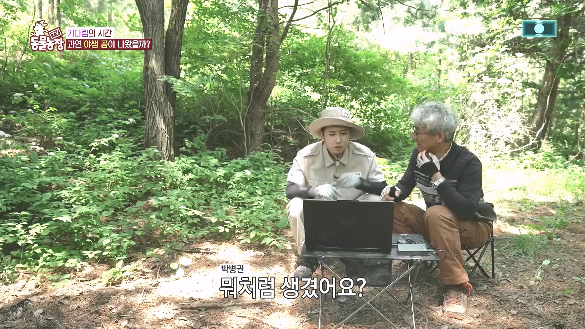 TV 동물농장.E1185.240818p.H264-F1RST.mp4_20240818_161226.666.jpg