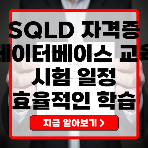 SQLD 자격증 완벽 가이드 제목