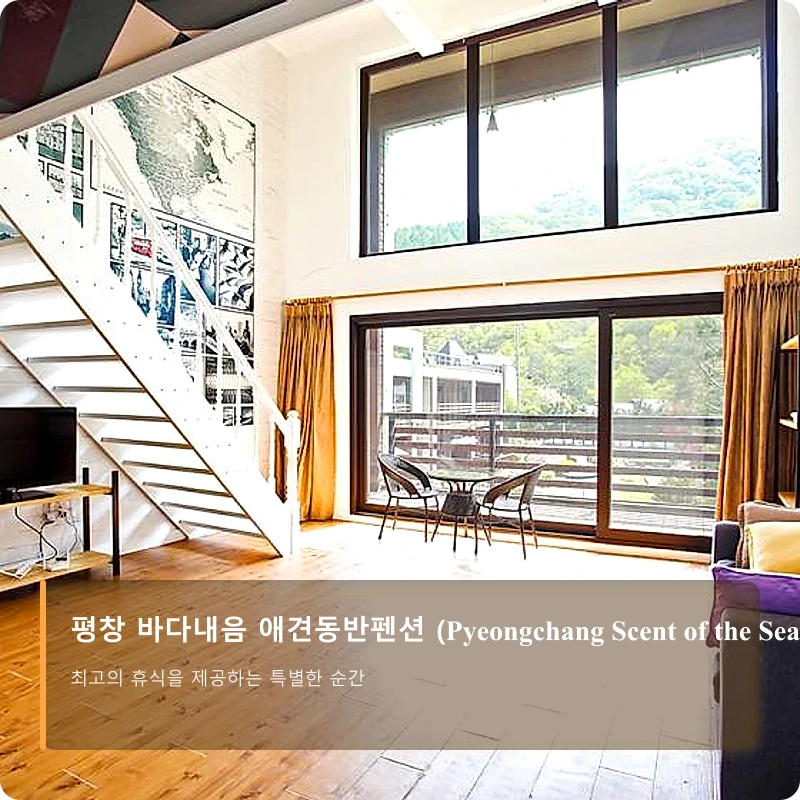 평창 바다내음 애견동반펜션 (Pyeongchang Scent of the Sea Dog Pension)_3