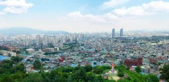 대전 가볼만한곳 베스트 10 성심당 딸기시루_6
