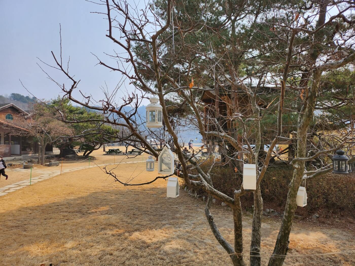 코미호미-카페-정원-광경