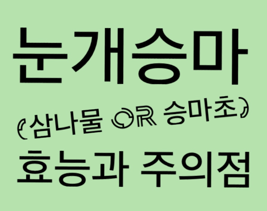  눈개승마 (승마초) 효능 및 주의할 점
