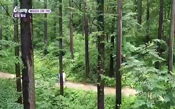 220815_발길따라 고향 기행.ts_20220823_181525.672.jpg