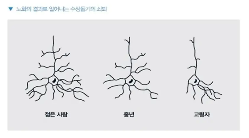 사진9