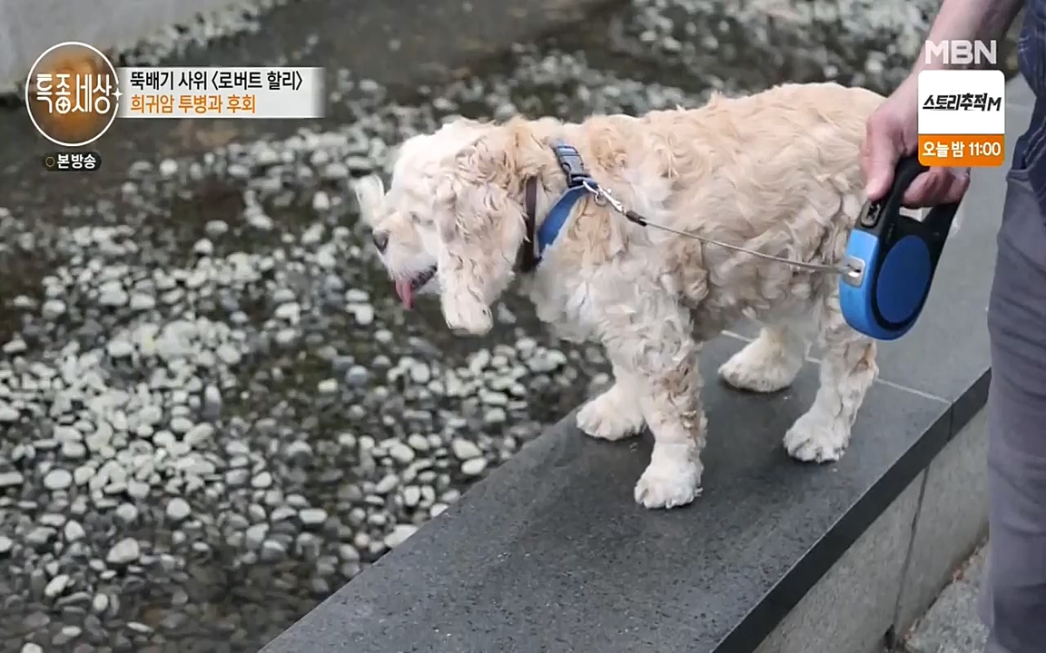 현장르포 특종세상.E531.220520p-NEXT.mp4_20220521_182423.183.jpg