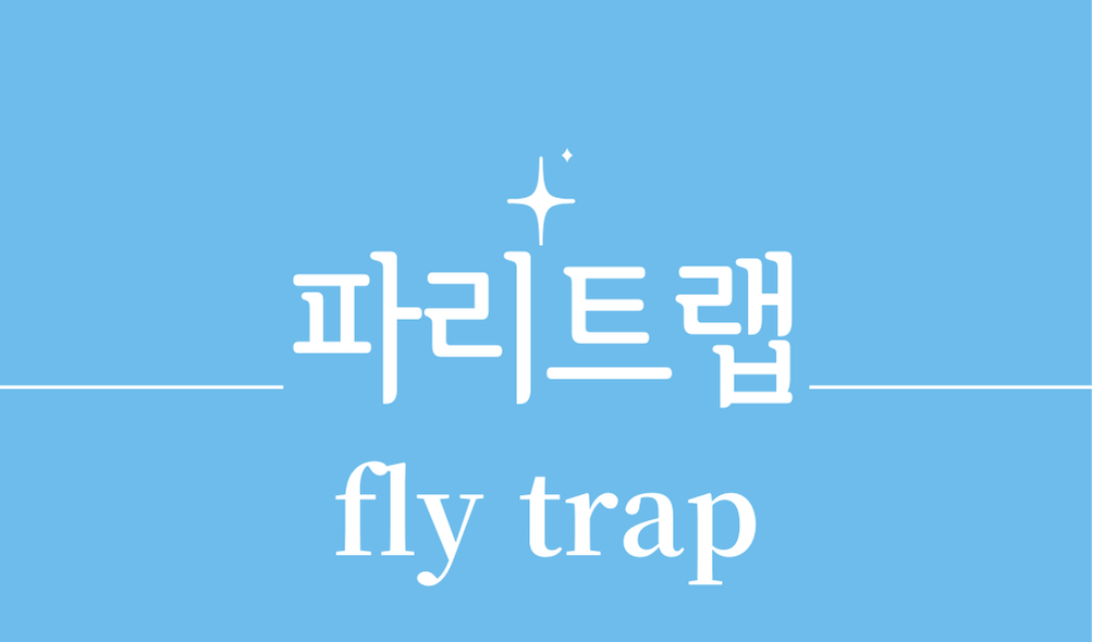 '파리트랩(fly trap)'