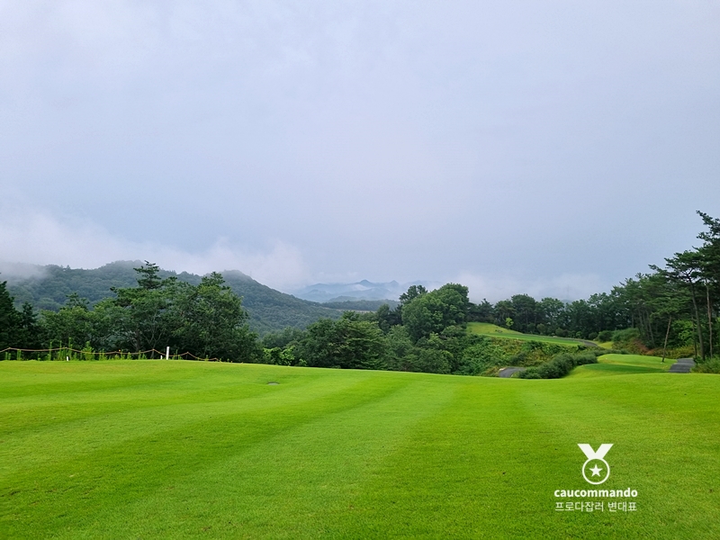 연예인 골프 순위 연예인들이 참여하는 18