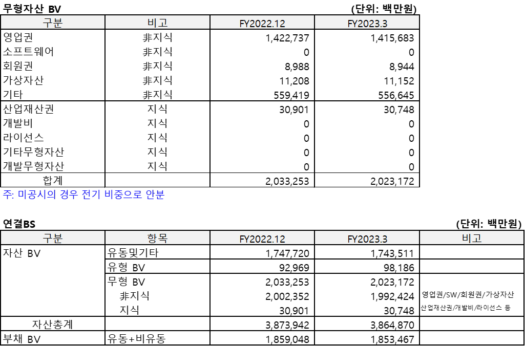 카카오게임즈(2023.3)의 무형자산BV 및 연결BS를 정리한 표