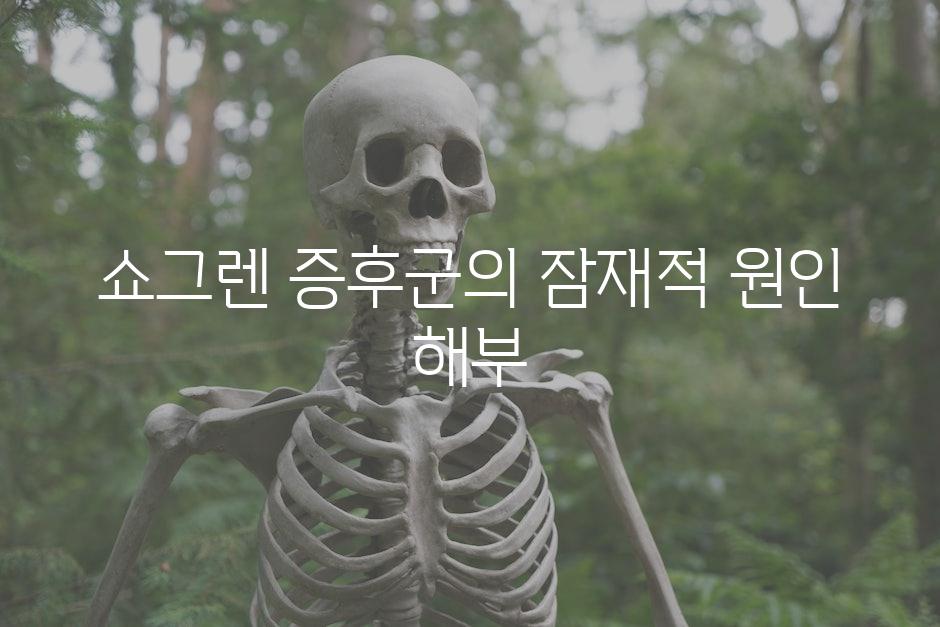 쇼그렌 증후군의 잠재적 원인 해부