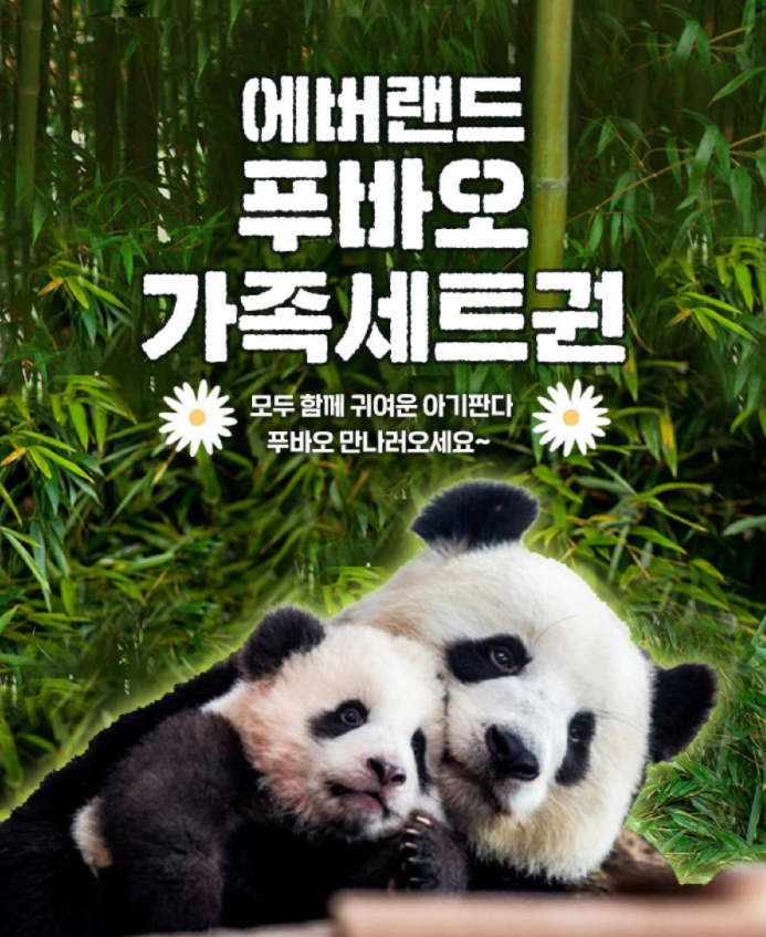  용인 에버랜드 푸바오 가족 세트권 트립닷컴 3월 할인코드 최대50% 호텔, 항공권, 액티비티