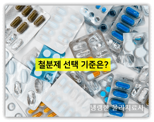 철분제 종류