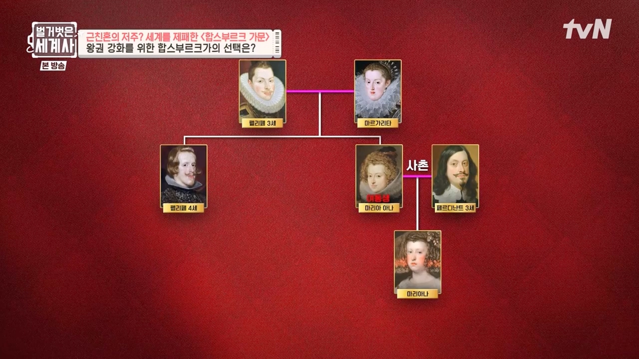 벌거벗은 세계사.E108.230719p-NEXT.mp4_20240211_140950.326.jpg