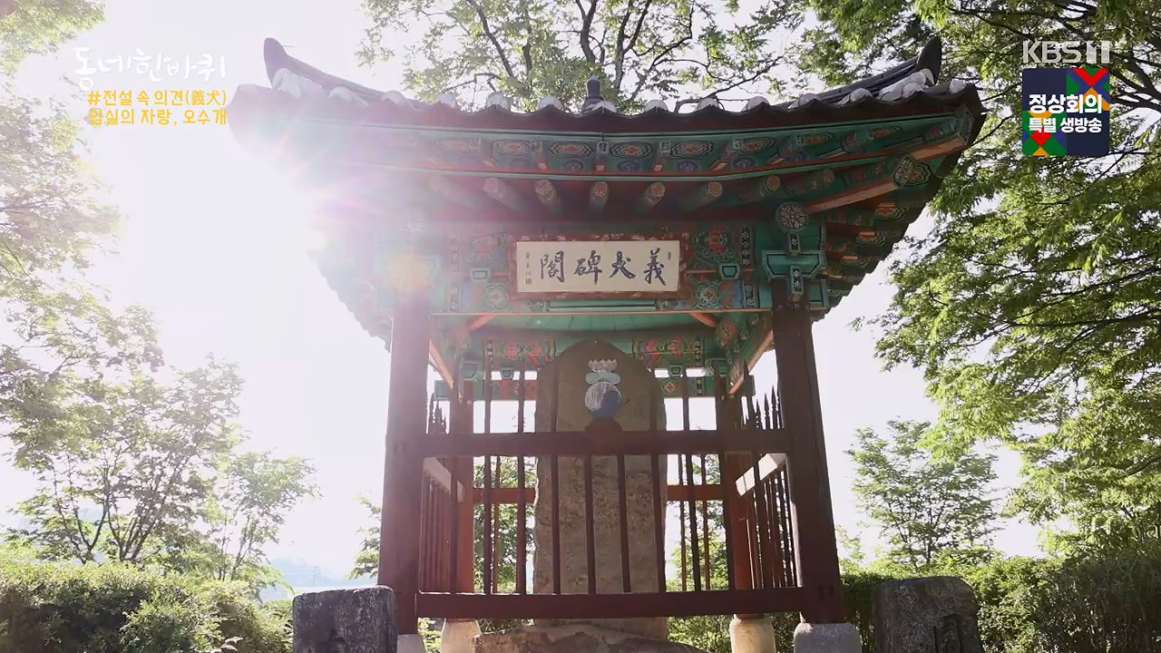 동네 한 바퀴.E276.240602p-NEXT.mp4_20240602_160115.836.jpg