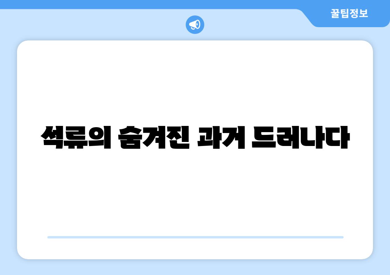 석류의 숨겨진 과거 드러나다