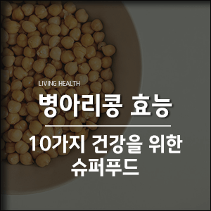 병아리콩 효능 10가지 건강을 위한 슈퍼푸드
