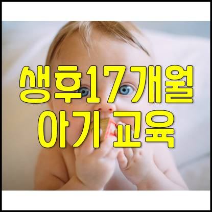  생후 17개월 아기 발달 및 육아(편식, 배변훈련, 독립심)