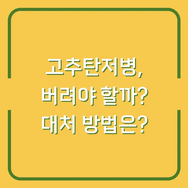 고추탄저병, 버려야 할까? 대처 방법은?