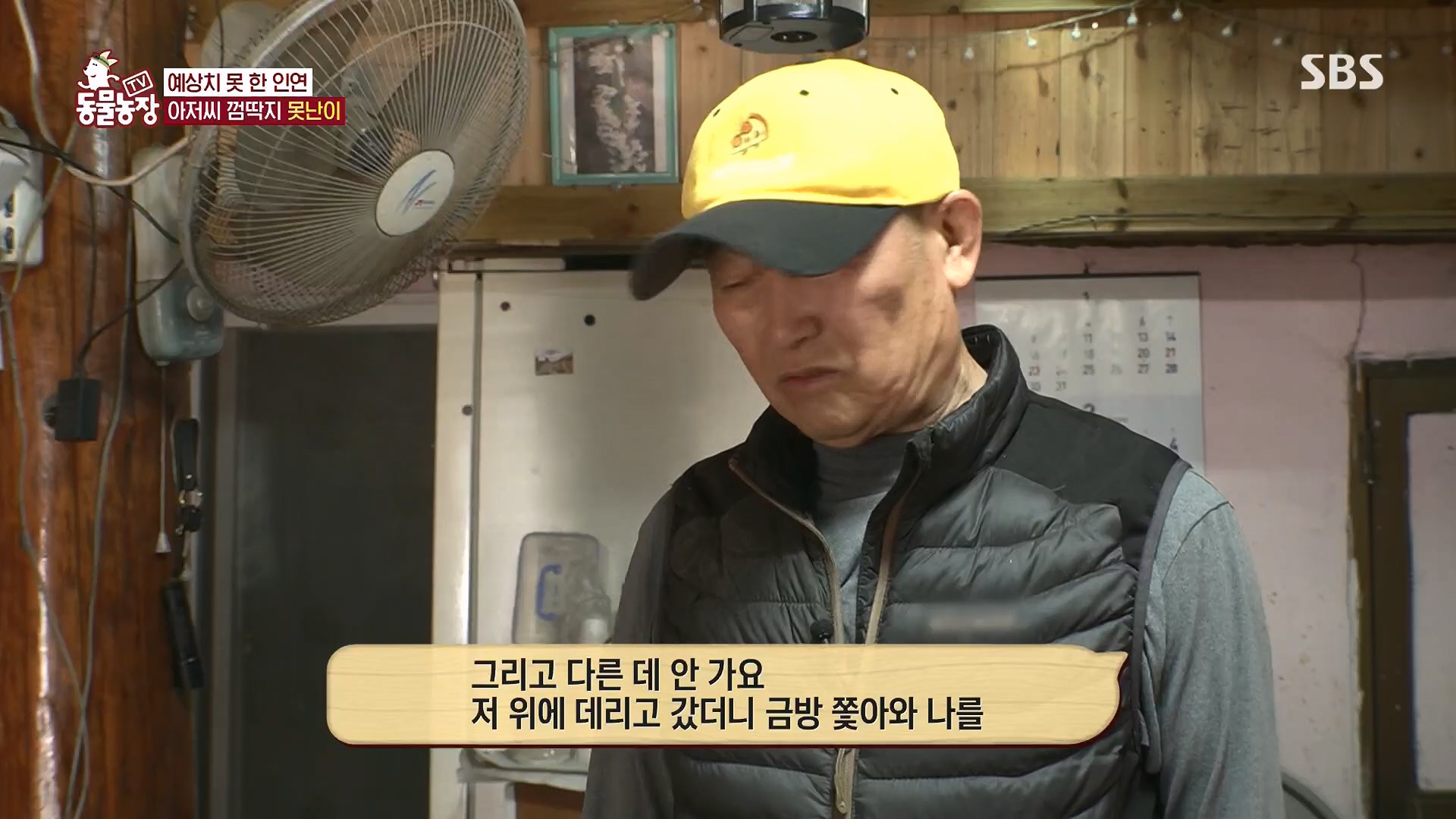 TV 동물농장.E1118.230430p.H264-F1RST.mp4_20230430_172401.599.jpg