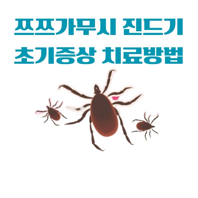 쯔쯔가무시