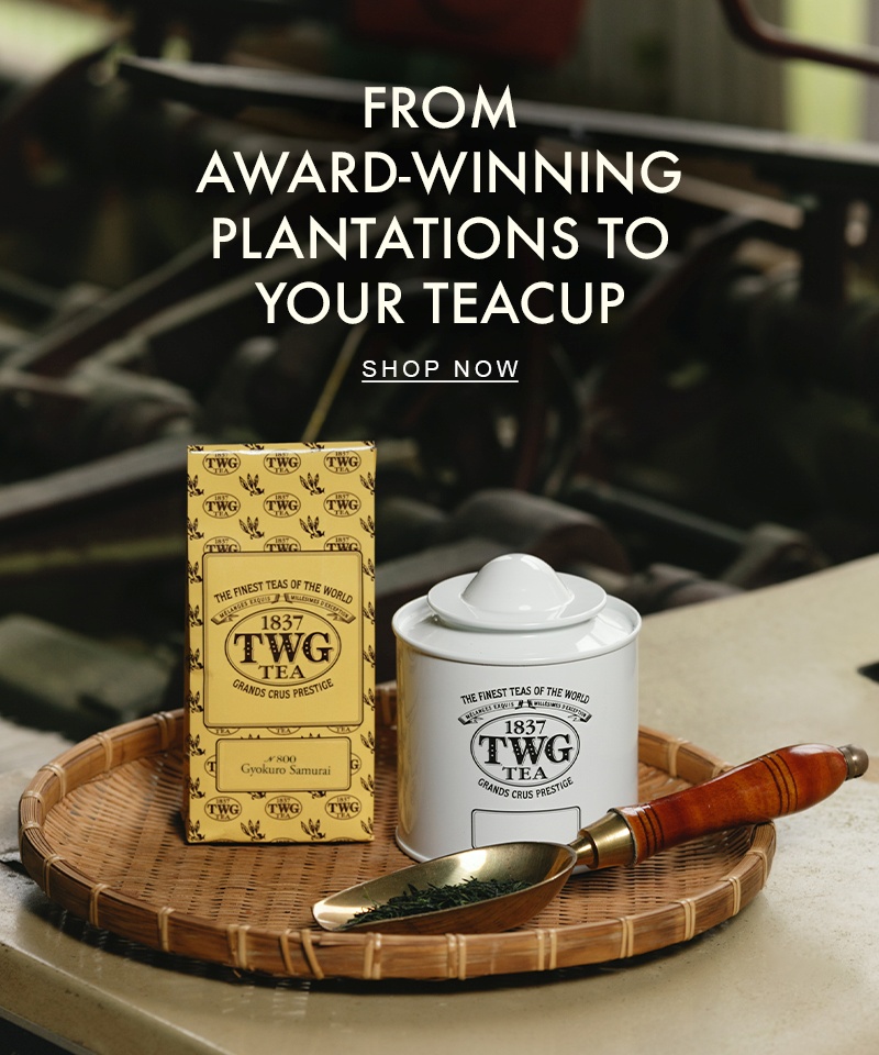 TWG 그랜드웨딩 홍차티백