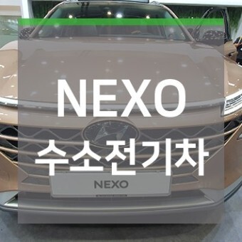 넥소 이미지