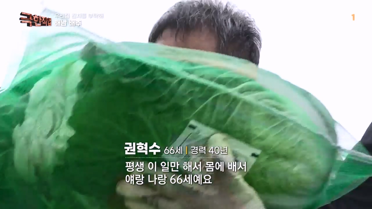 TV - 전 국민의 평생학교 EBS우리 집 김치를 부탁해.mp4_20231228_201808.907.jpg