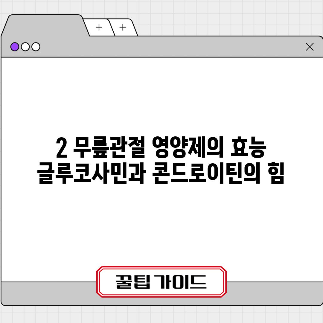 2. 무릎관절 영양제의 효능: 글루코사민과 콘드로이틴의 힘