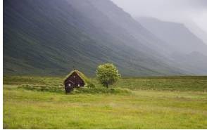 img.jpg