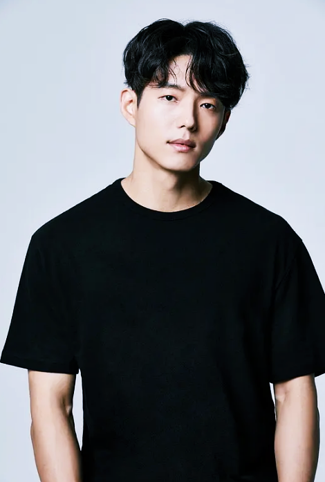 천년보감 이미지