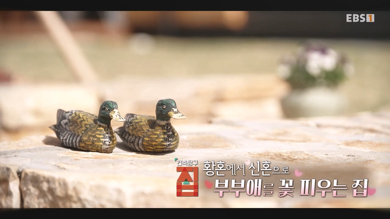 TV - 전 국민의 평생학교 EBS황혼에서 신혼으로, 부부애를 꽃 피우는 집.mp4_20231011_200419.065.jpg