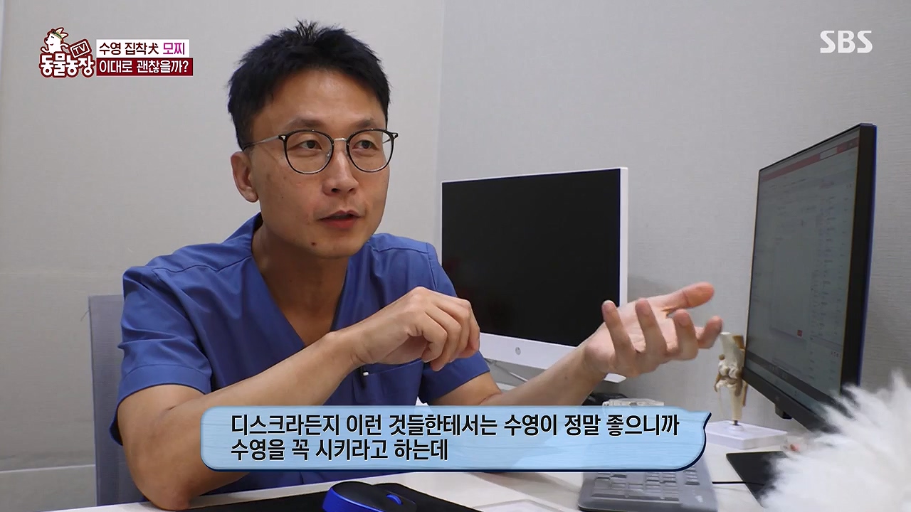 TV 동물농장.E1137.230911p-NEXT.mp4_20230910_183207.346.jpg