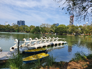 방콕 여행 추천 룸피니 공원