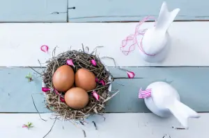 삶은계란 칼로리 효능 다이어트 🍳 - 🥚계란의 효능 - 단백질 삶은계란 칼로리 효능 다이어트