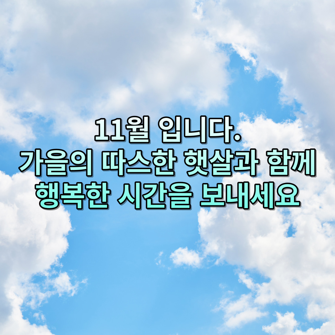 11월 입니다. 가을의 따스한 햇살과 함께 행복한 시간을 보내세요.