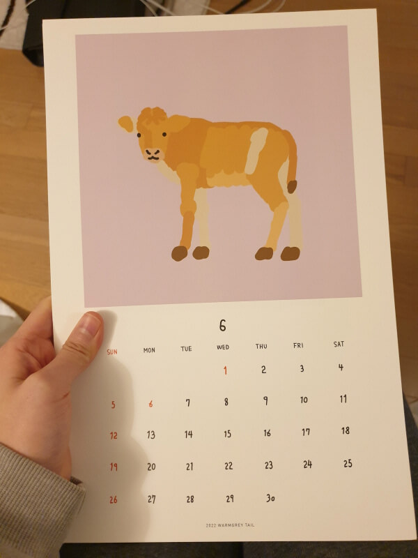 연보라색 바탕에 노란색 송아지 한마리가 그려진 웜그레이테일의 6월 달력.
