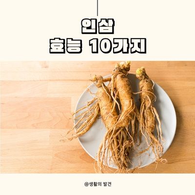인삼효능