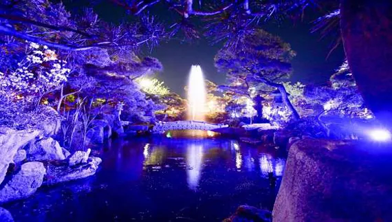 화수목