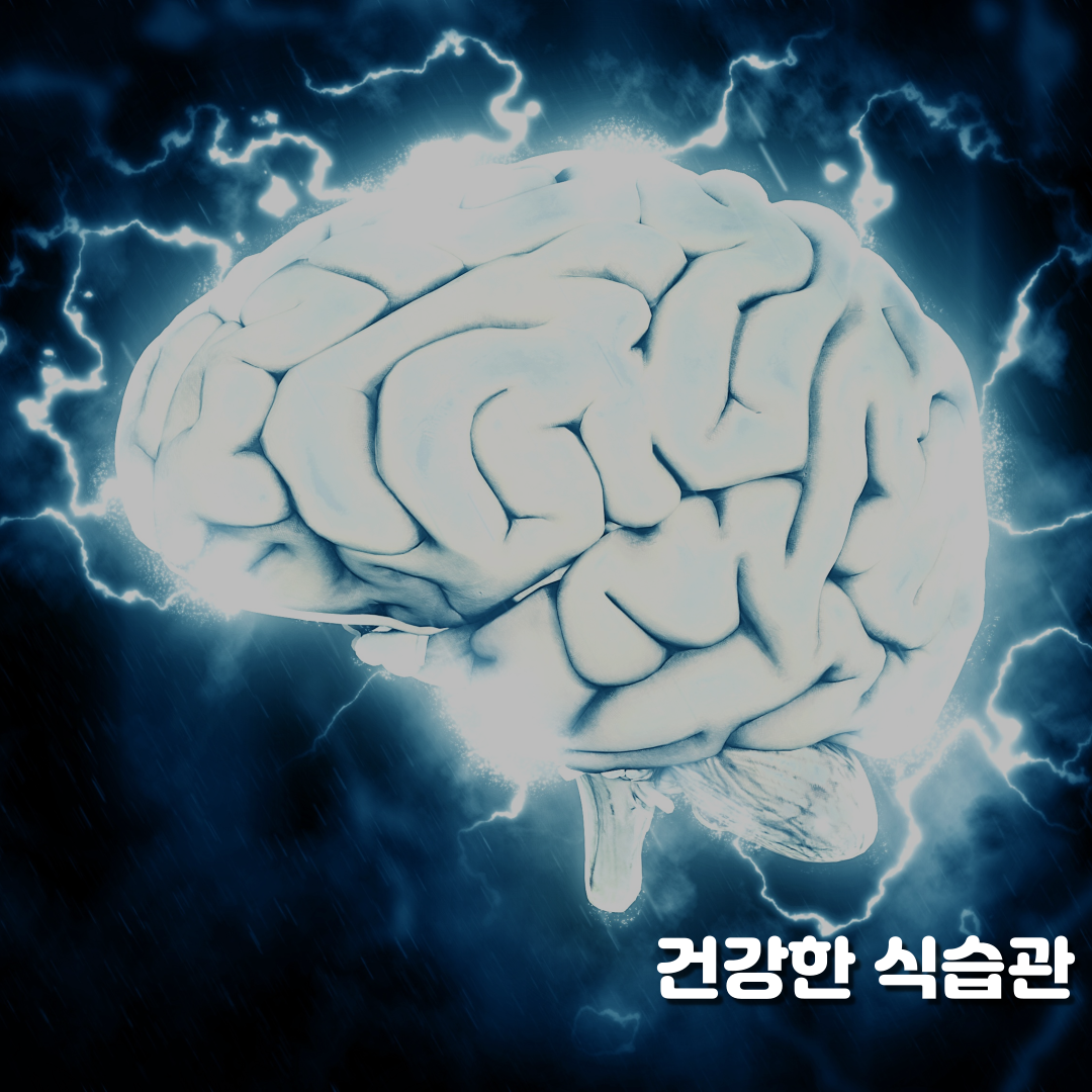 편두통의 증상