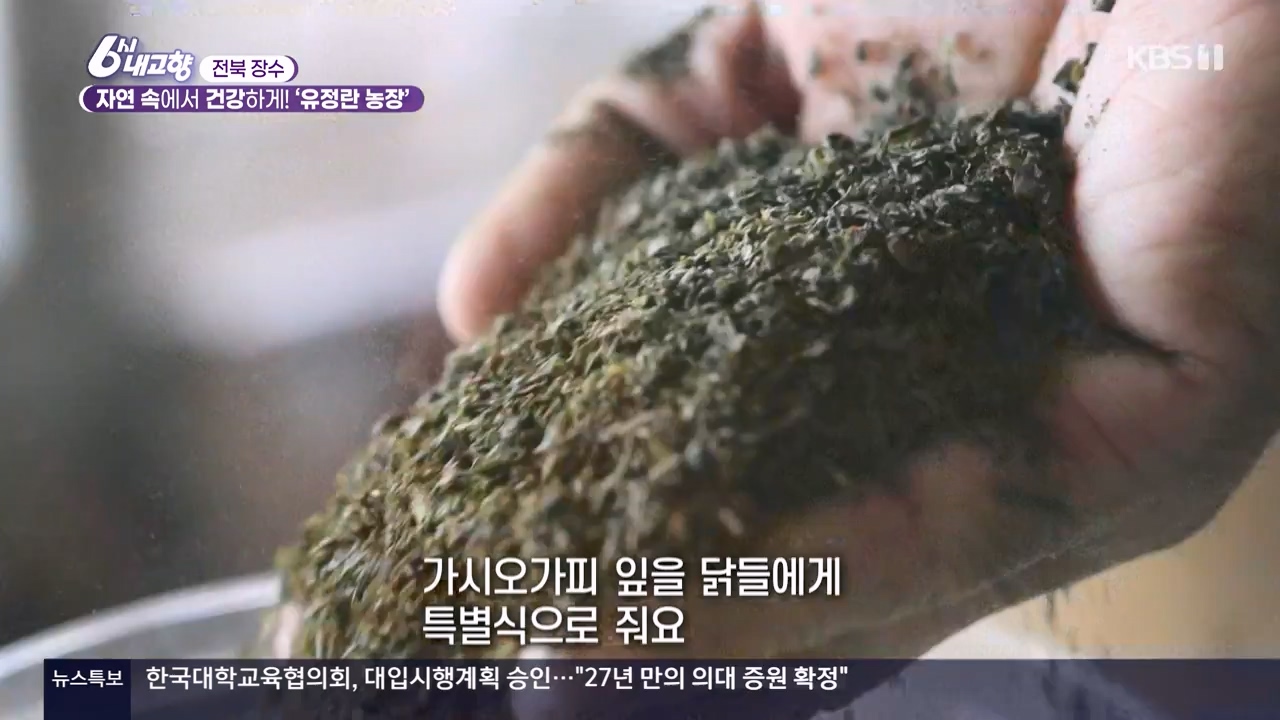 6시 내고향.E8057.240525p-NEXT.mp4_20240525_162203.359.jpg