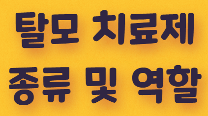  탈모 치료제의 종류 및 역할
