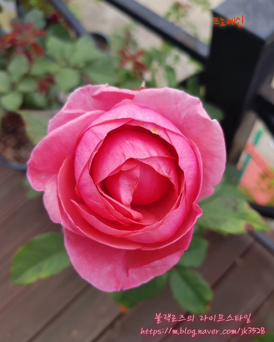 제신 이미지